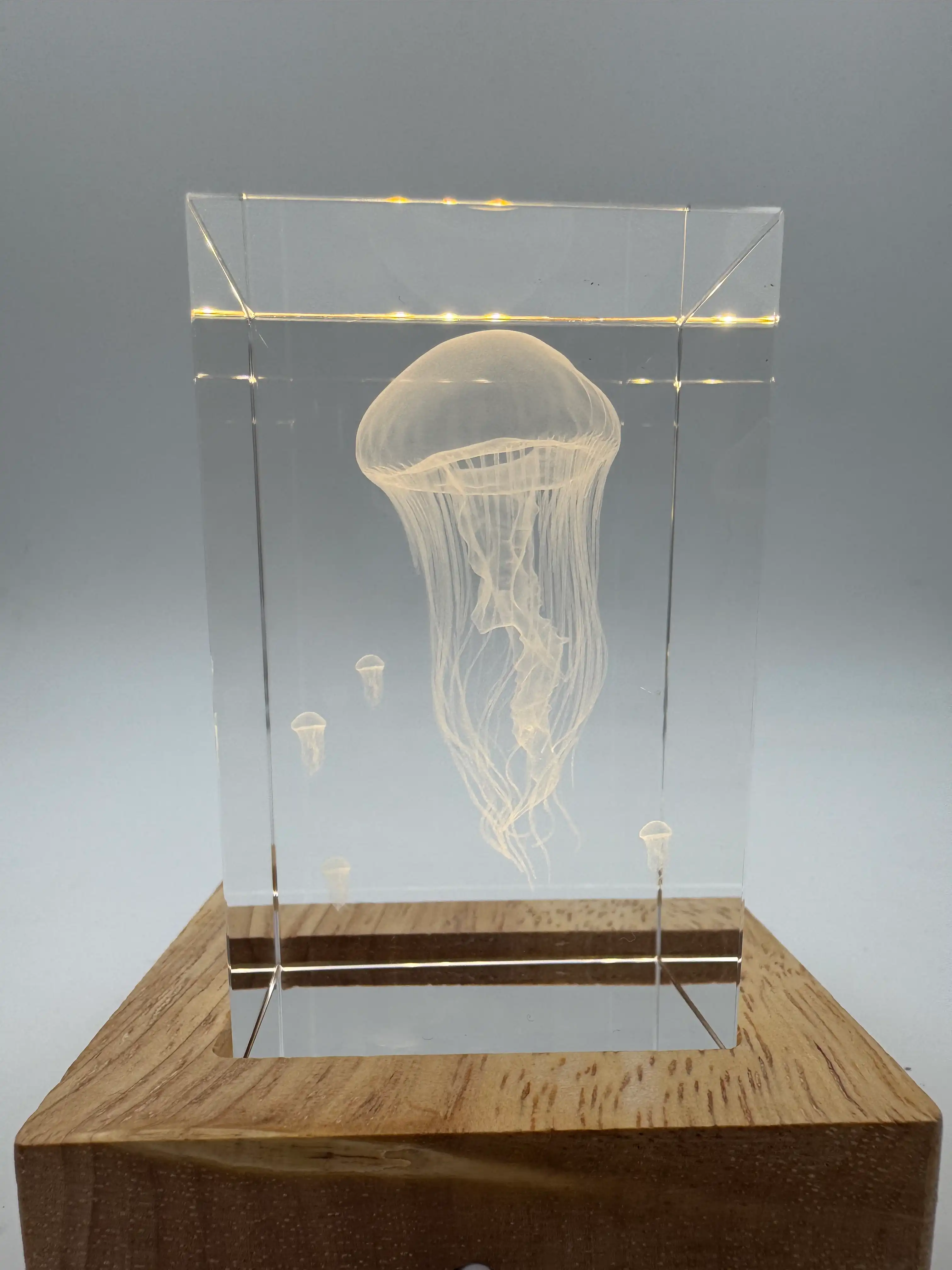 3D-Innengravur einer Qualle in einem Kristallquader auf beleuchtetem Holzsockel